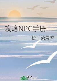 攻略NPC手册